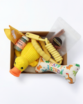 Honey, It’s My Birthday - Curated Birthday Dog Box