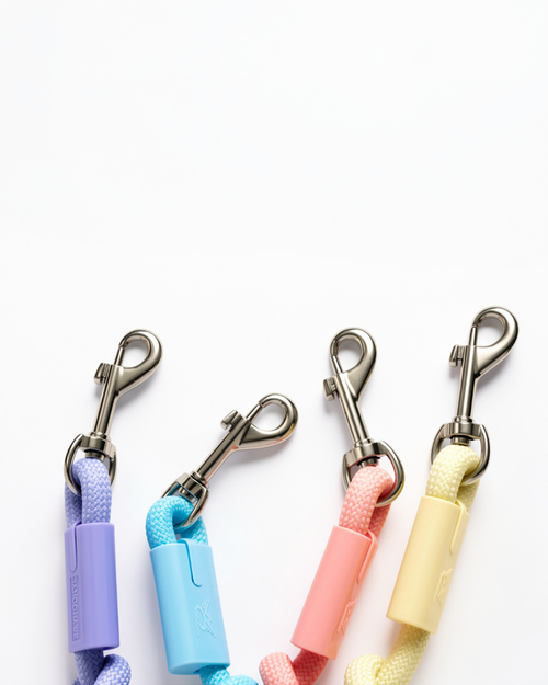 Honey & Hound Everyday Lead - 1.5m Durable Lead with Padded Foam Handle