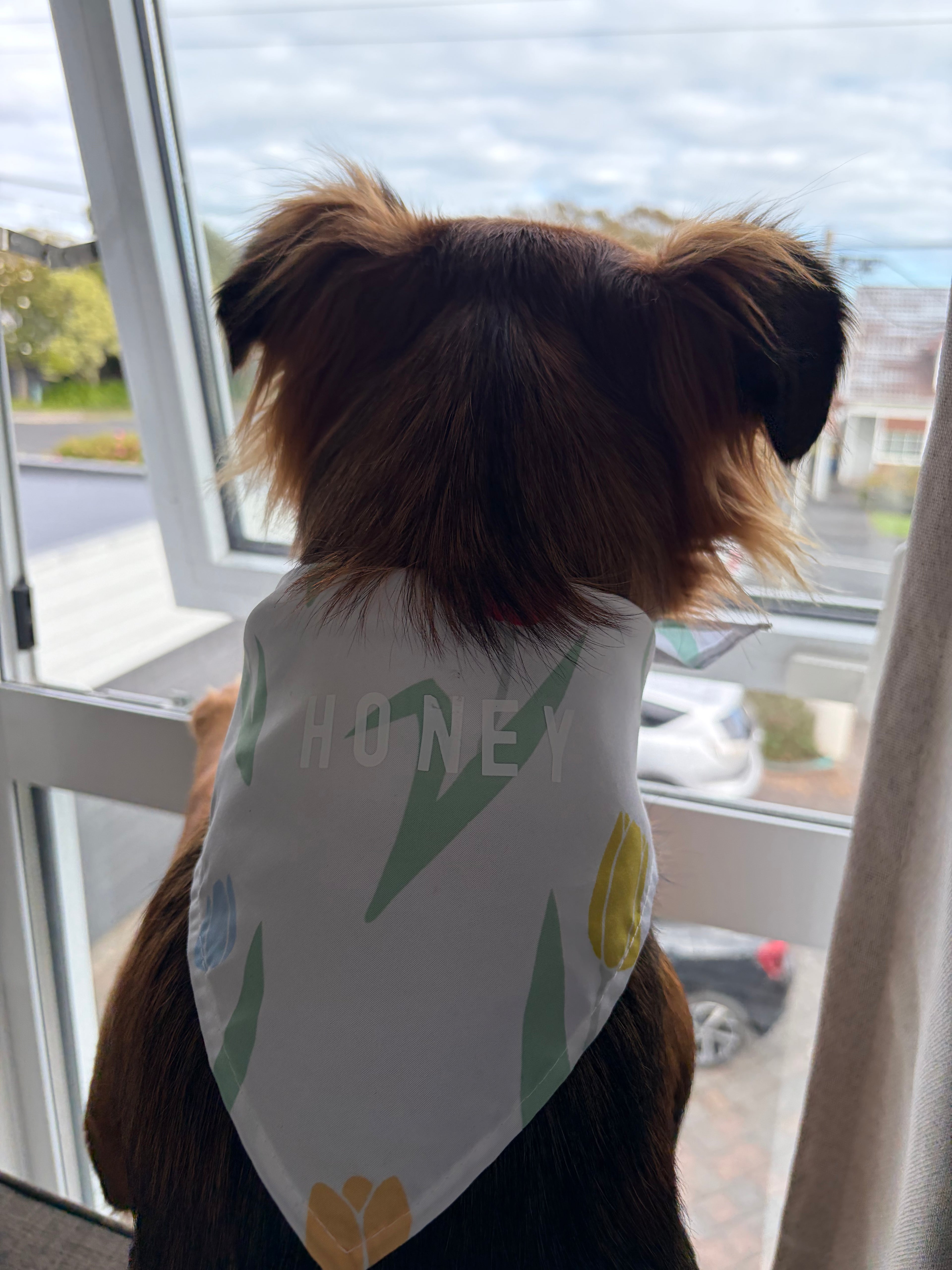 Customised Name Mystery Dog Bandana