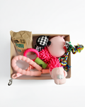 Welcome, Little Honey - Puppy Starter Box