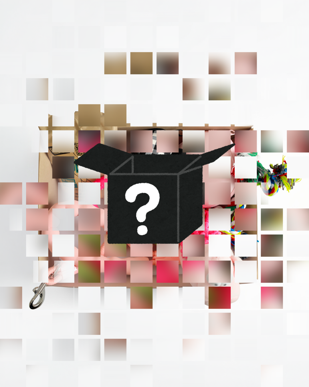 The Lucky Pup Mystery Box